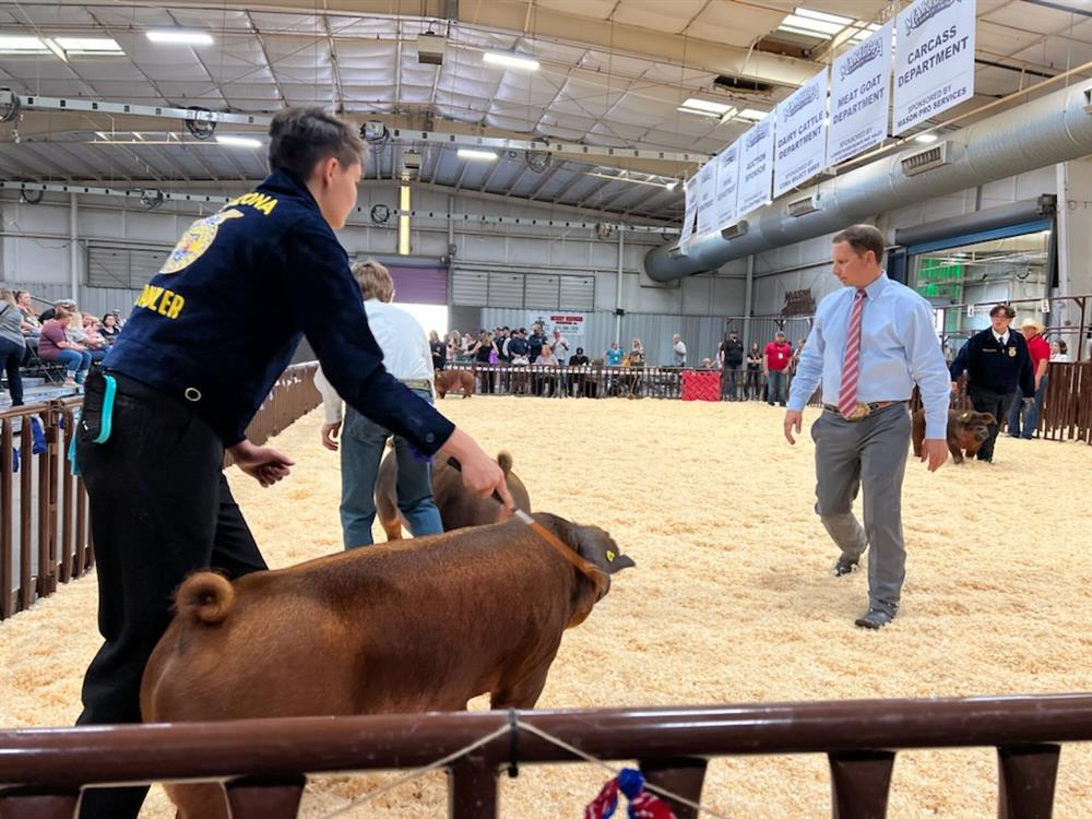 Lily Manygoats in show ring